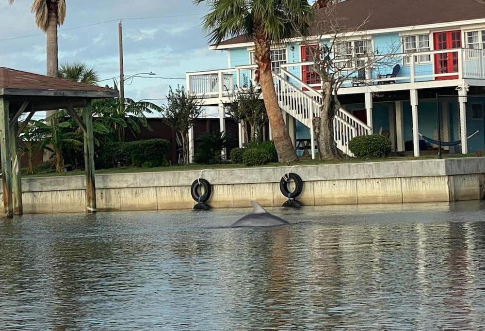 Paradise Lagoon*Bayhouse Fishing*Beach*Dogfriendly Galveston Exterior foto